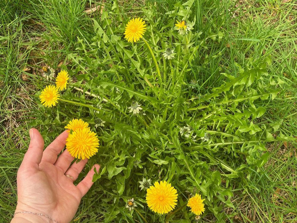 Spring Skincare Tips