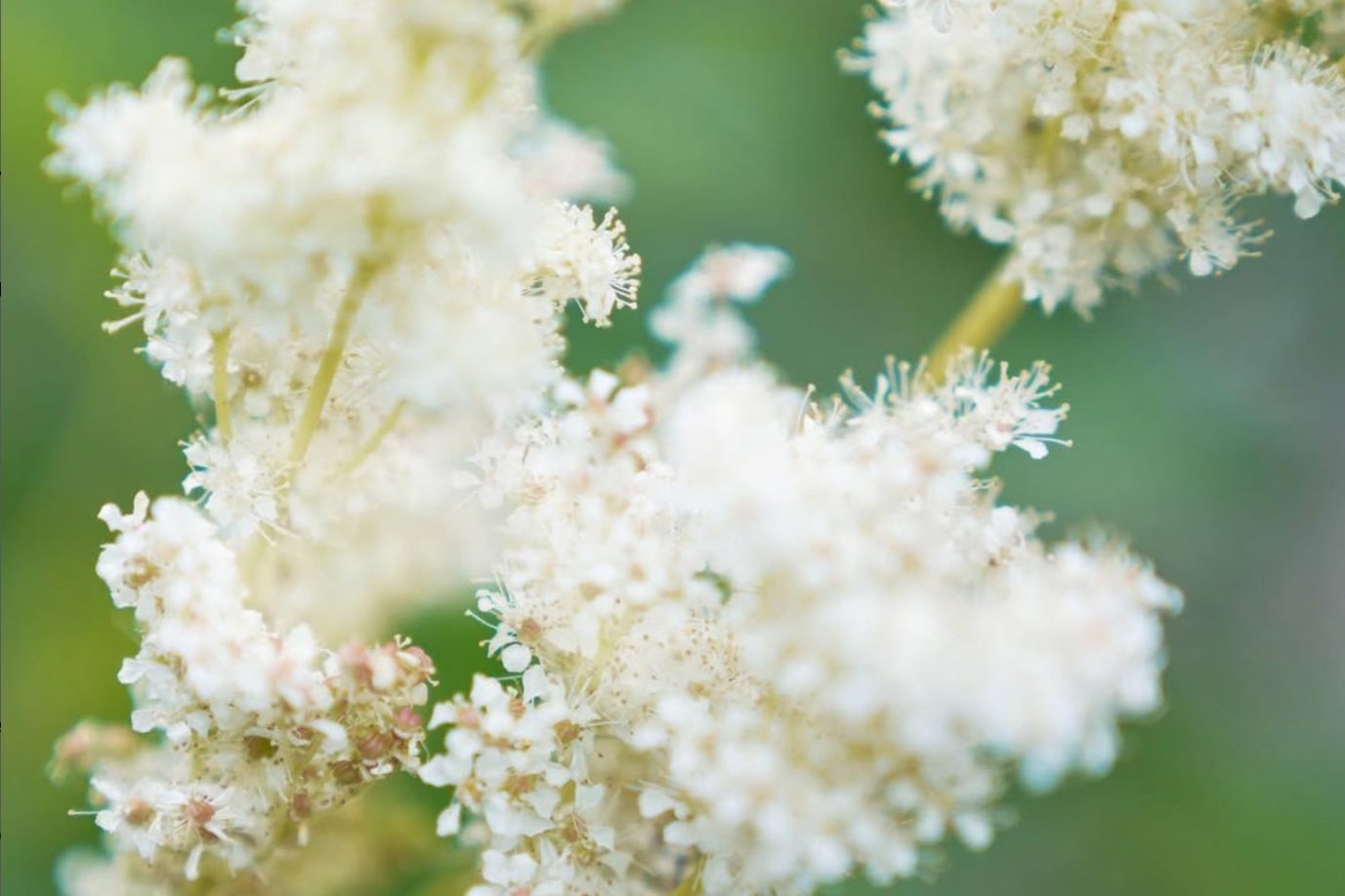 Product Line Change with Seasonal Skincare