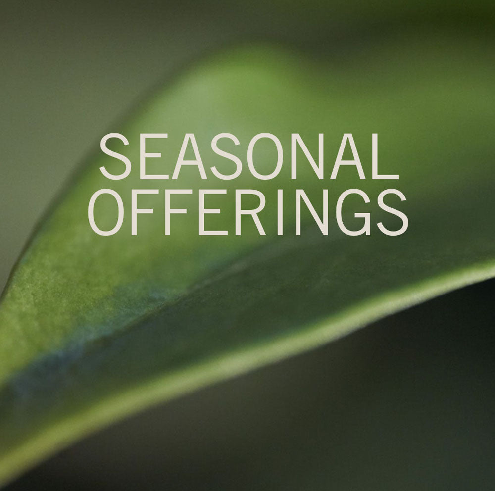 Core Collection & Seasonal Offerings